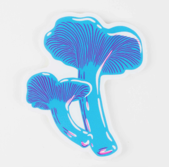 Colorful Stickers