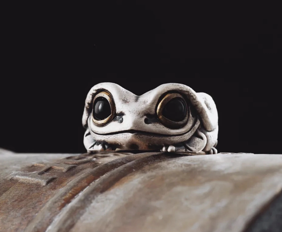 Tree Frog Ring in Silver and Brass