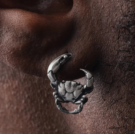 Nature Artist Animal Friends Earring Collection