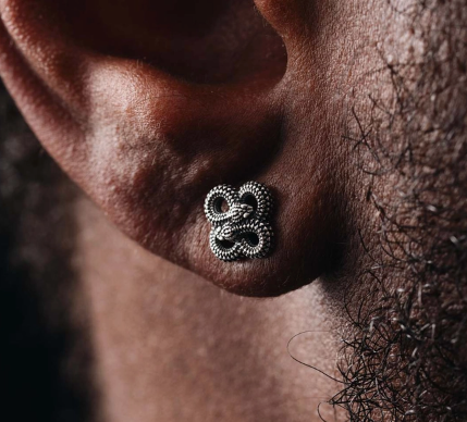 Nature Artist Animal Friends Earring Collection