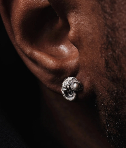 Nature Artist Animal Friends Earring Collection