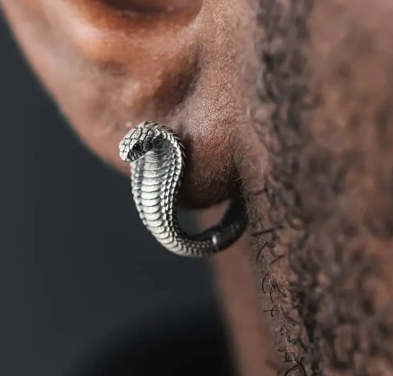 Nature Artist Animal Friends Earring Collection