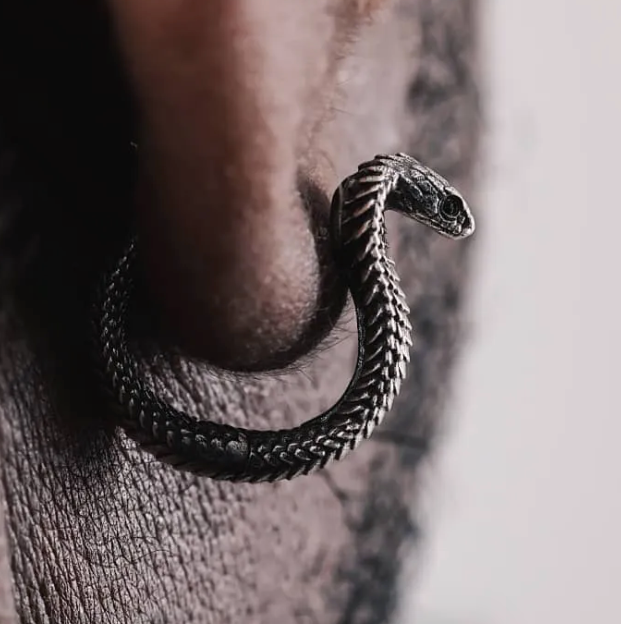 Nature Artist Animal Friends Earring Collection