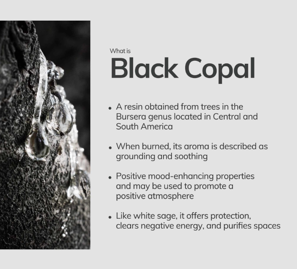 Japanese + Resin Incense Collection