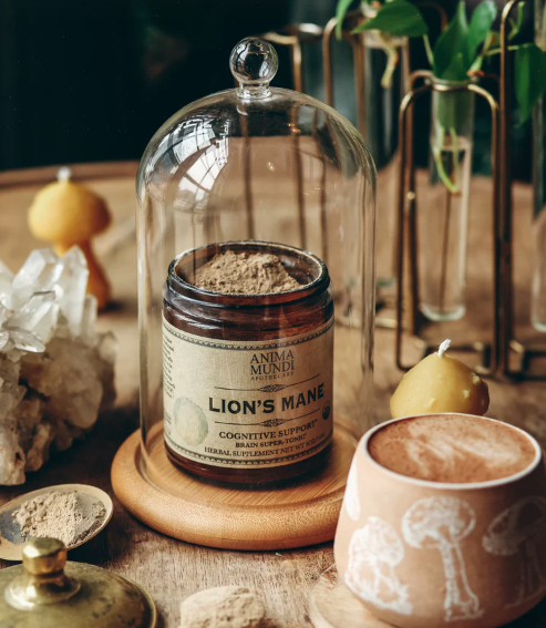 Ancient Remedy | Brain Tuner - Lions Mane