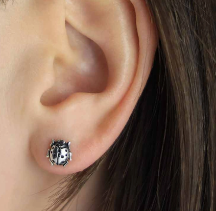 Silver Forest Magic Studs Collection