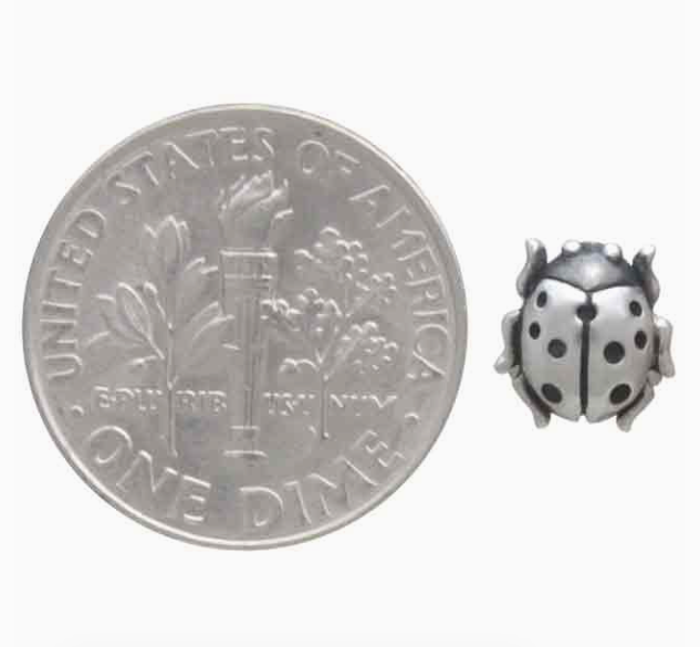 Silver Forest Magic Studs Collection