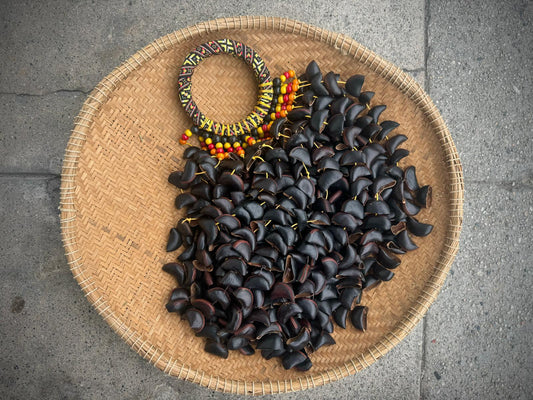 Amazonian Seed Shakers
