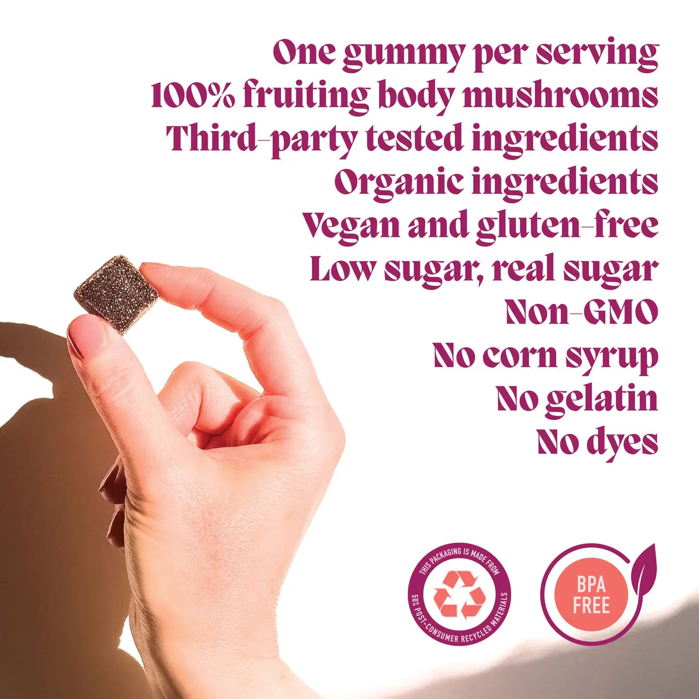 HIBERNATE | Functional Mushroom Gummies