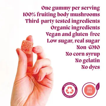 Mushroom Gummies (30) / Vegan Supplement / Mood Elevate , Concentrate, Hibernate