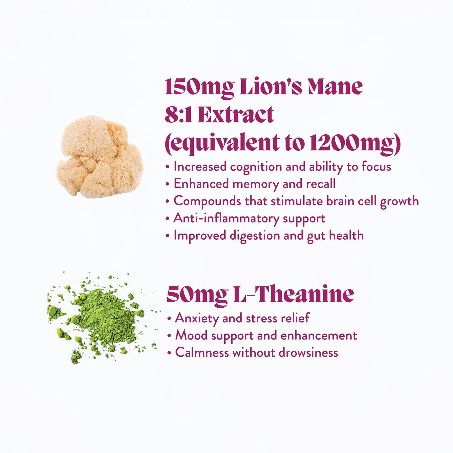 CONCENTRATE | Functional Mushroom Gummies