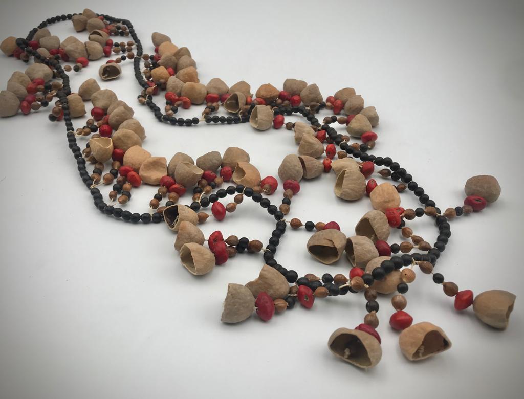 Amazonian Tribal Seed Collection