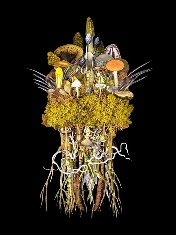 Collage Artist Originals by Jana Nicole