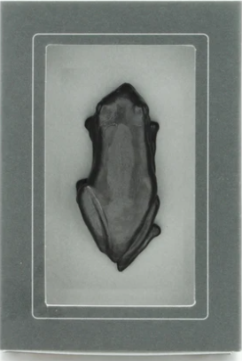 Writable Carbon Graphite Curio Objects