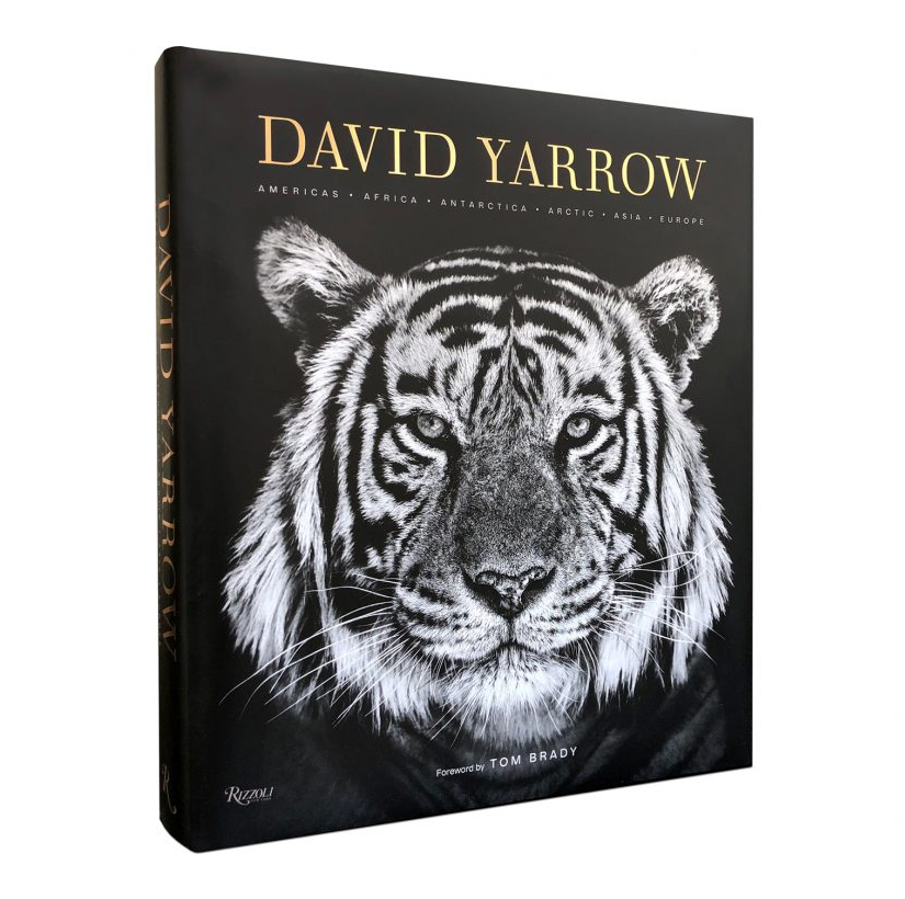 David Yarrow Photography by Rizzoli Publishing