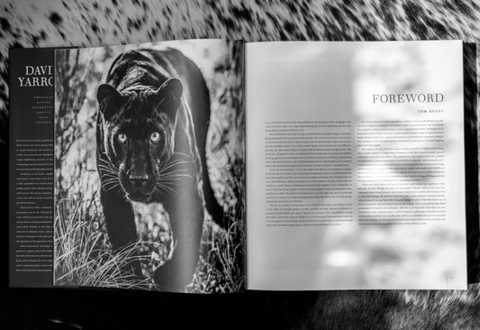 David Yarrow Photography by Rizzoli Publishing