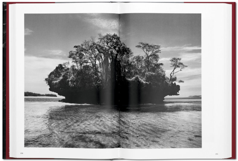 Genesis by Sebastião Salgado