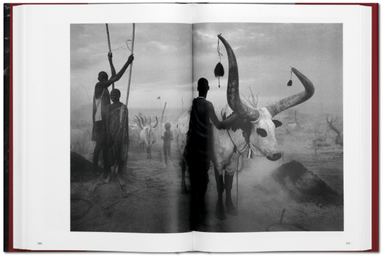 Genesis by Sebastião Salgado
