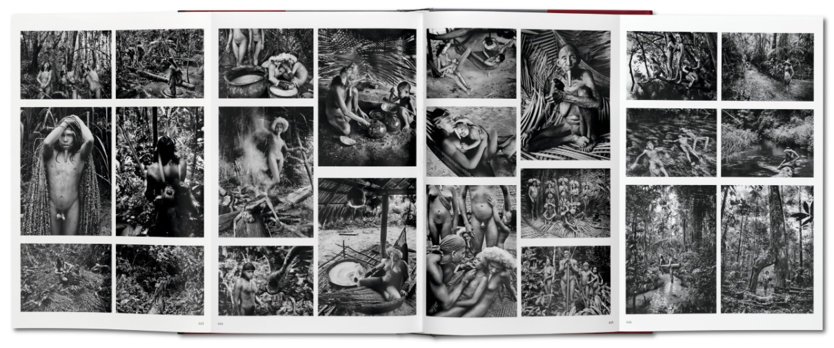Genesis by Sebastião Salgado