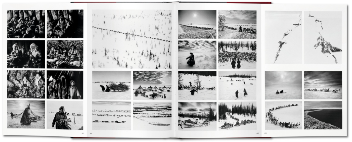 Genesis by Sebastião Salgado