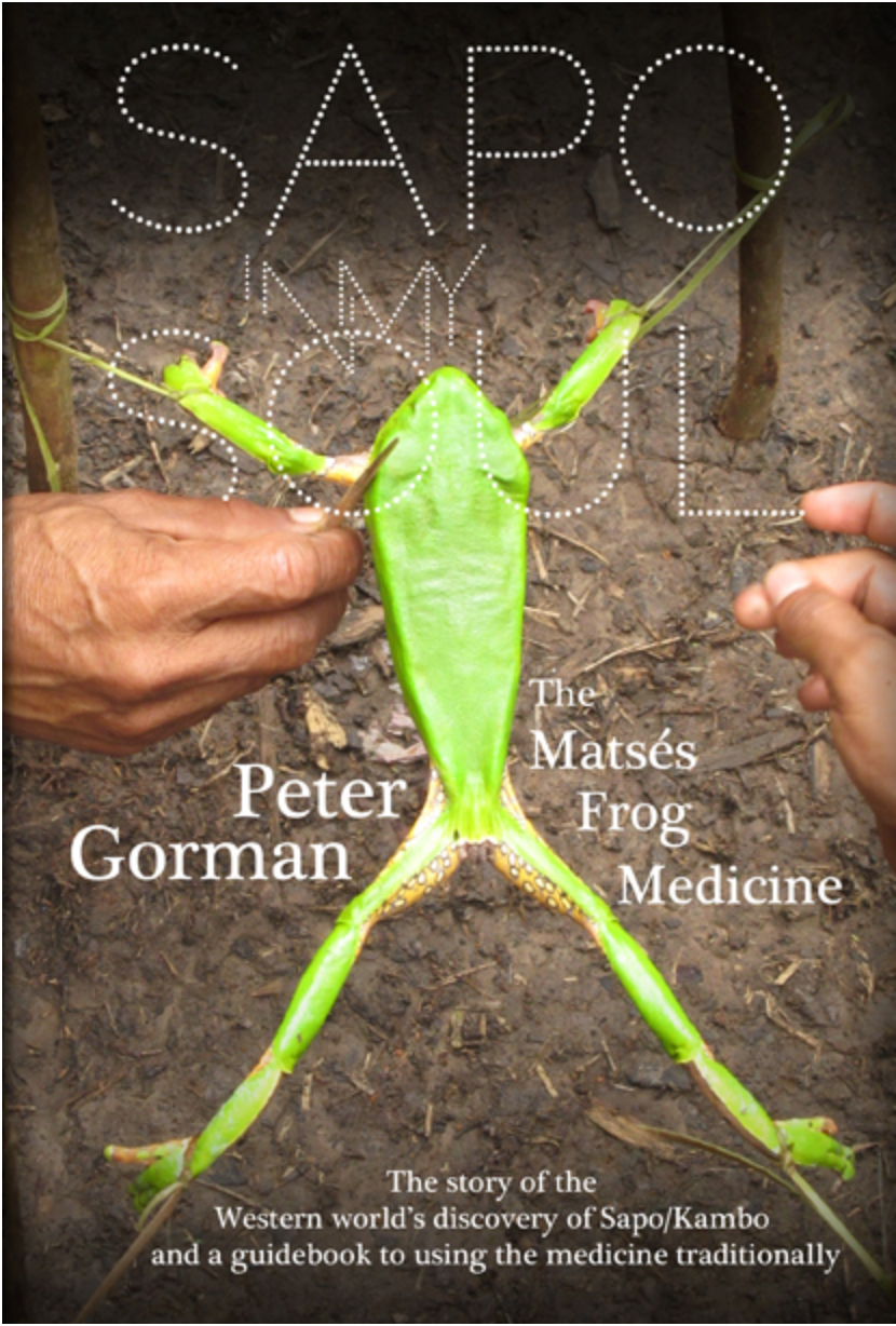 Sapo In My Soul by Peter Gorman