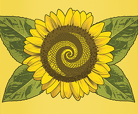 Herbal Spray | Reclaiming Joy