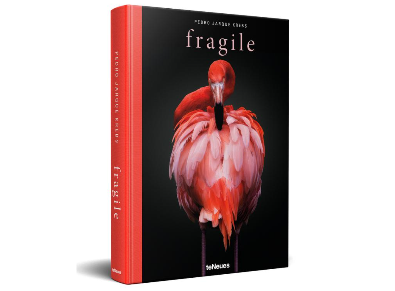 Fragile by Pedro Jarque Krebs