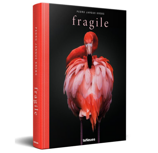 Fragile by Pedro Jarque Krebs