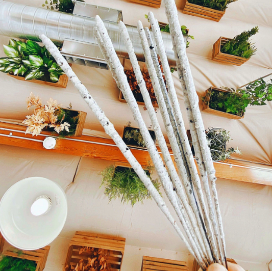 Pure White Mayan Copal Incense