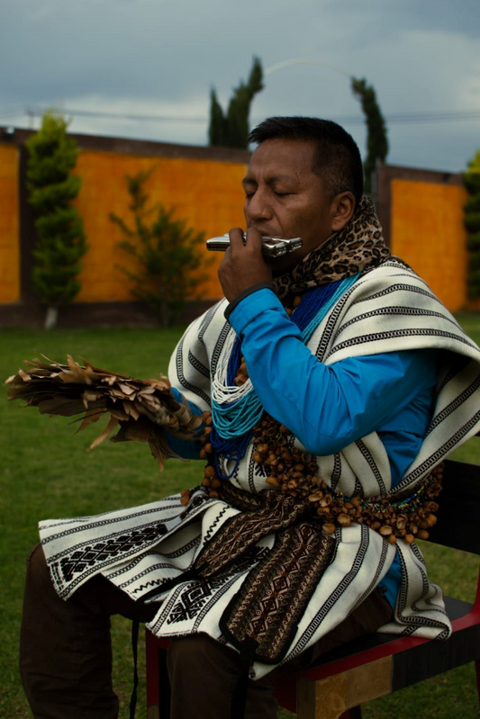 Colombian Kamentsá Ceremony Seed Necklaces