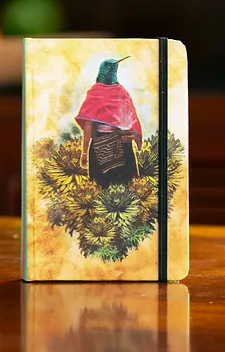 Visionary Art Journals-