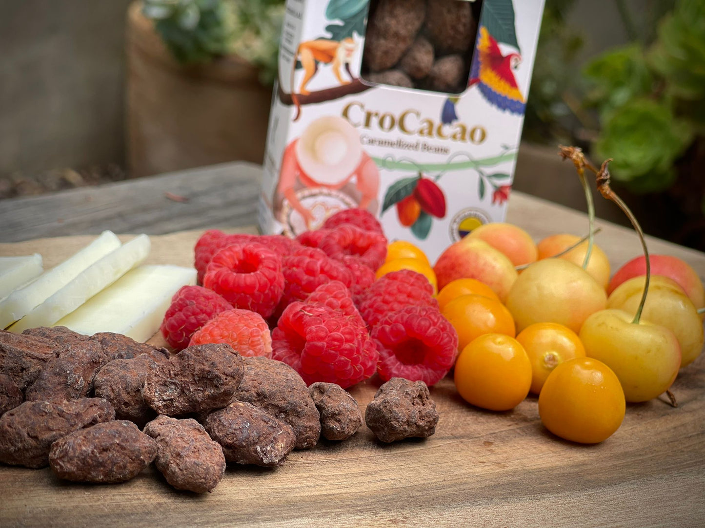 Chocolate Cacao Bean Snack