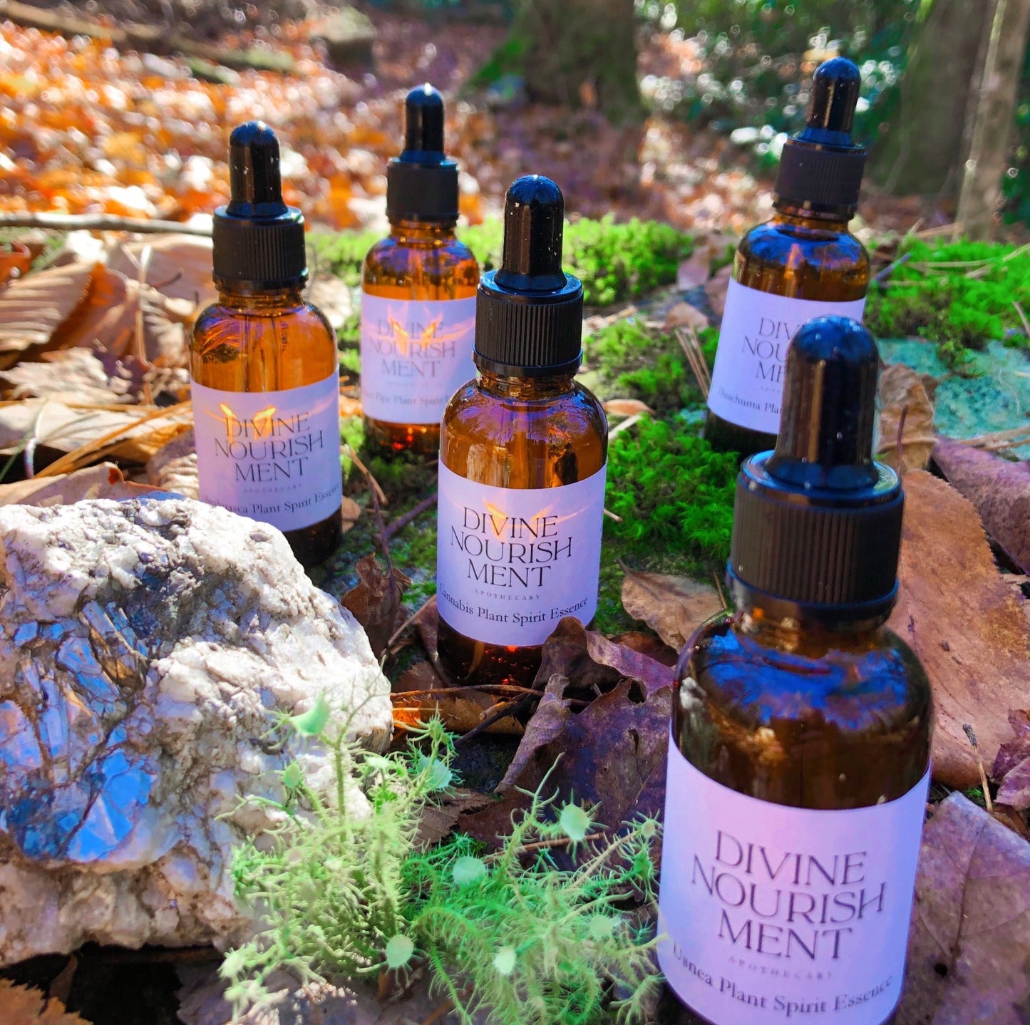 Plant Spirit Essence Collection Divine