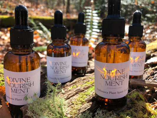 Plant Spirit Essence Collection Divine