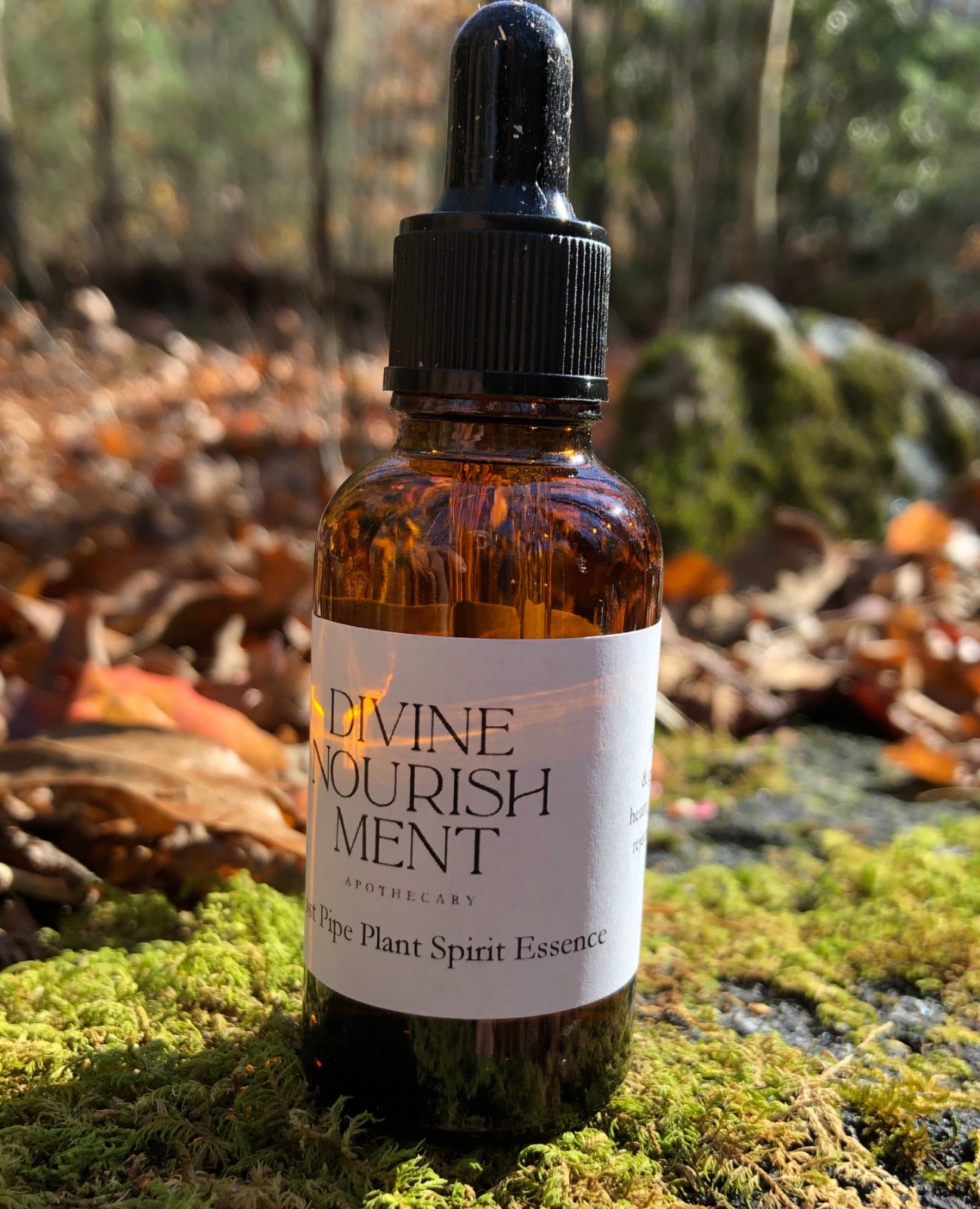 Plant Spirit Essence Collection Divine