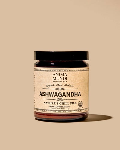 Ancient Remedy | Ashwagandha: Ayurvedic Ginseng