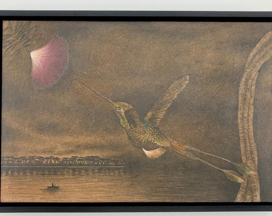 Pencil Drawings | Framed Shipibo Medicina Collection