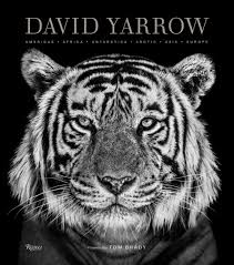 David Yarrow Photography by Rizzoli Publishing