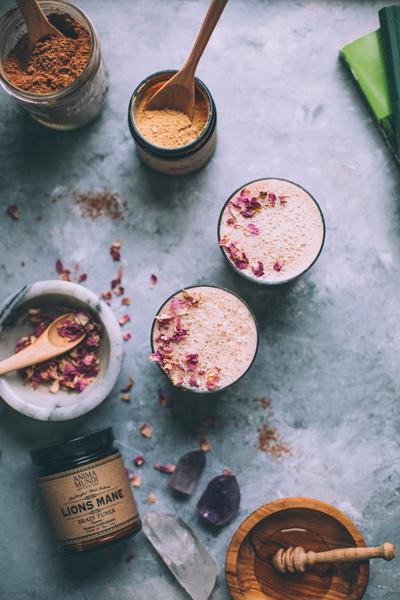 Ancient Remedy | Brain Tuner - Lions Mane