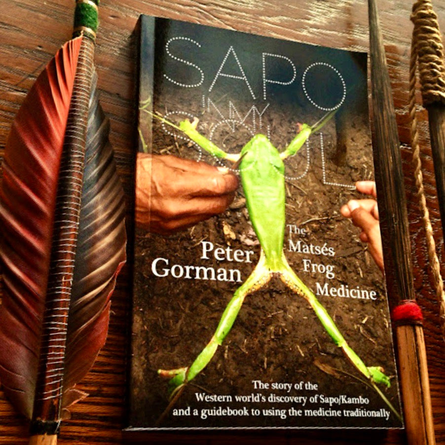 Sapo In My Soul by Peter Gorman